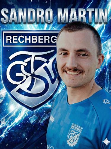 Sandro Martin