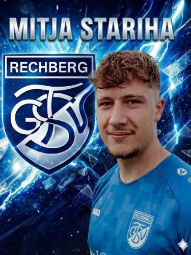 Mitja Stariha