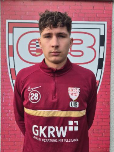 Iljaz Dolicanin