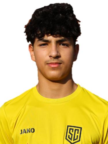 Elia Noel Laroussi