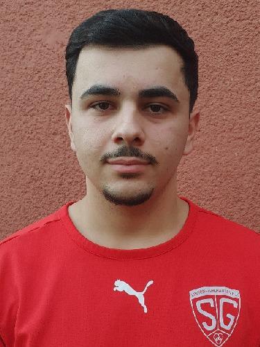 Florijan Dina