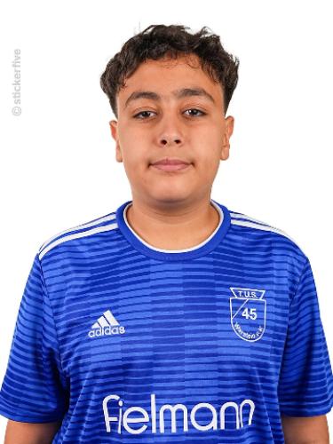 Shaheen Malla Mohamad
