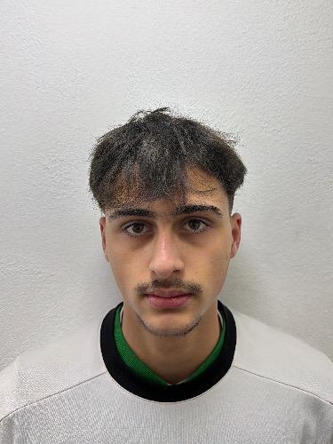 Berkan Sahan