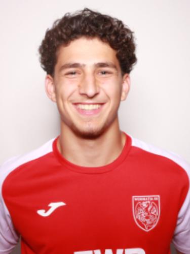 Raman Ari Toprak