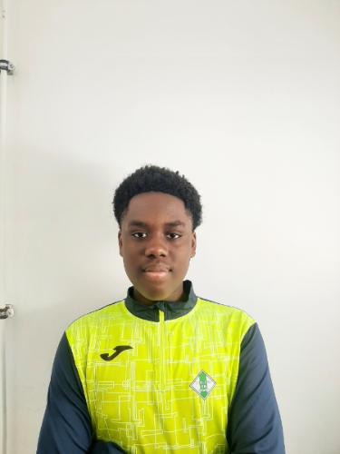 Emmanuel Oghosa Enobakhare