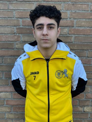 Karam Khamees