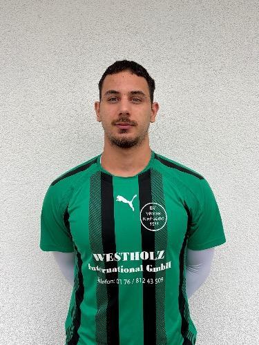 Bojan Mijic