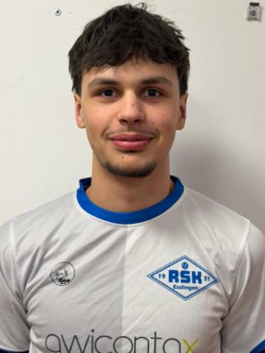 Damjan Gajic