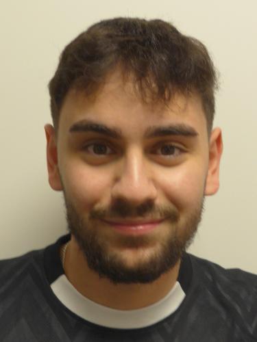 Emre Sarica