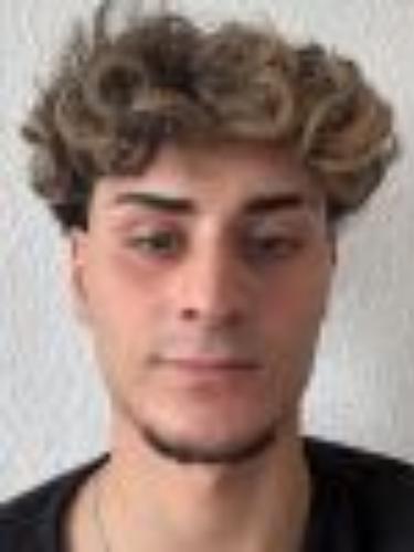 Luigi Henrique David Batista