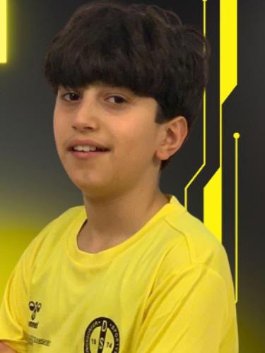 Aria Shirmohammadi