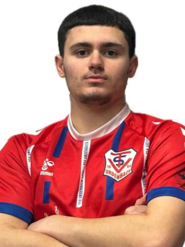 Nedim Kasapovic