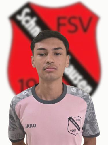 Vitor Sampaio Matsuda