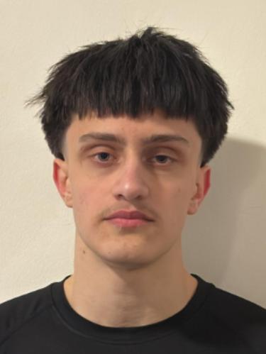 Paris Tarakci