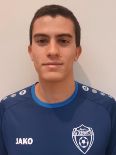 Pedro Joaquim Duarte Silva Pera