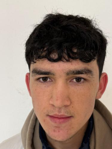 Gulistan Azimi