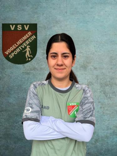 Hanim Isiklar