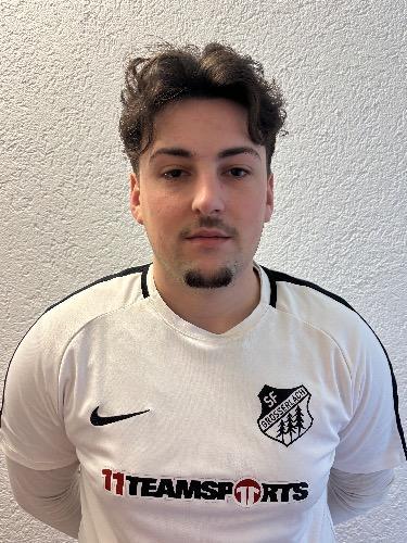 Jannik Leins
