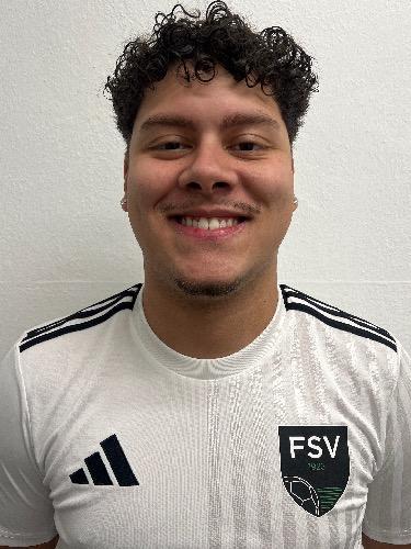 Endrius Henrique Gomes Da Silva
