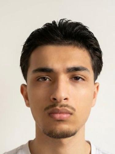 Mahmoud Dahlik