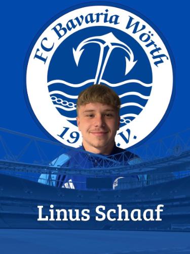 Linus Heinrich Tudor Schaaf