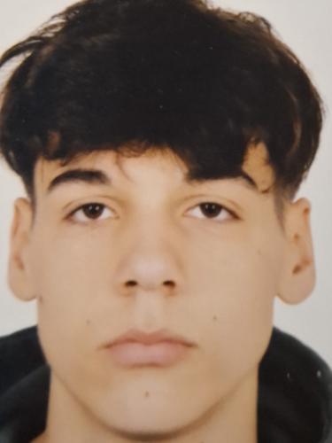 Eldar Kulovic