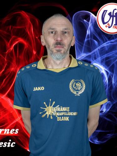 Mirnes Mesic