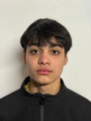 Amir Hossain Mohammadi