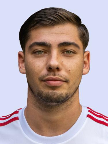 Fernando-Daniel Ciocan