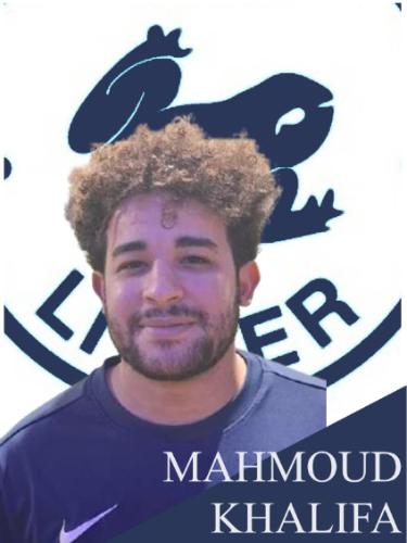 Mahmoud Elsayed Abdelhamid Tawfik Khalifa