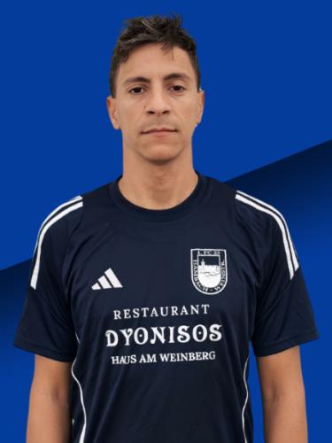 Ala Attar El Hamoui