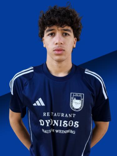 Nassim Laid Bahamed