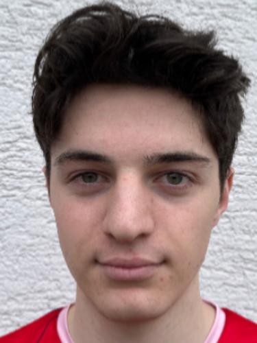 David Nedic