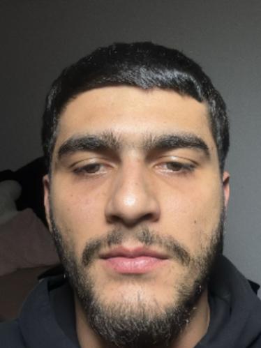 Ali Dil
