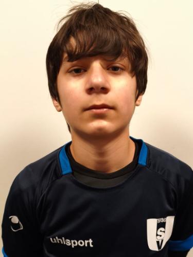 Davit Tavartkiladze