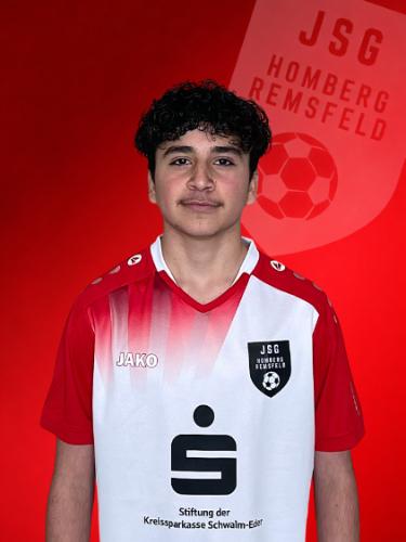 Amr Adl Shamo Al-Dweh