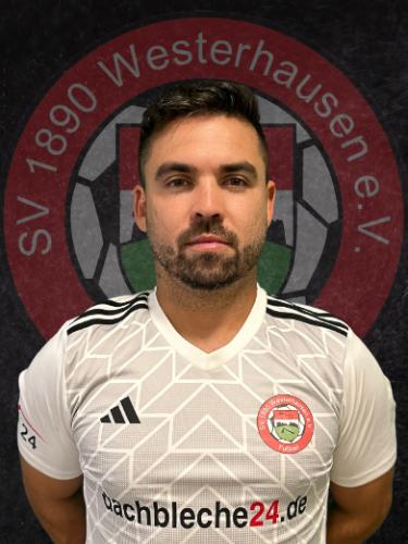 Joao Victor Gomes Paranagua