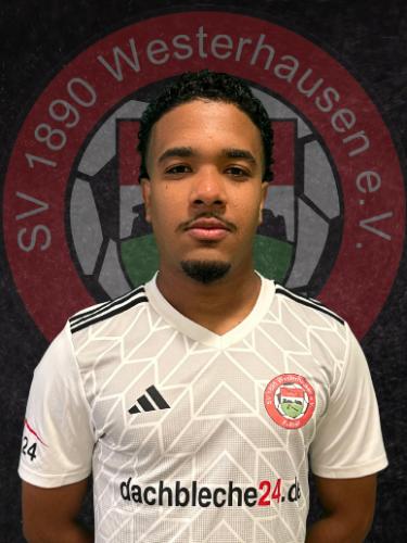 Pedro Henrique Miranda Conceicao