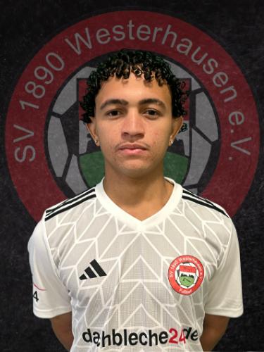 Adriel Ribeiro De Oliveira
