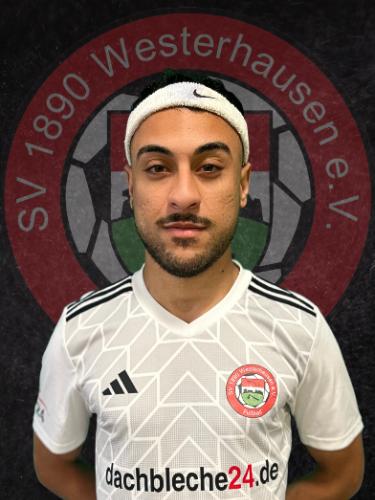 Paulo Henrique Rodrigues Lima Filho