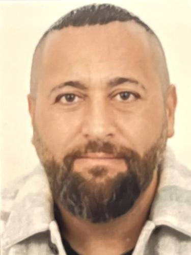 Uelfi Salik