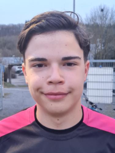 Amar Bajrektarevic