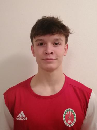 Hannes Kaiser