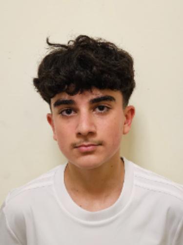 Ayoub Hussein Mohamad