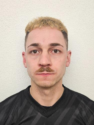 Milan Ramsteiner