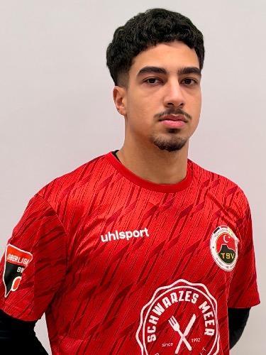 Alpay Mehmet Yavuz