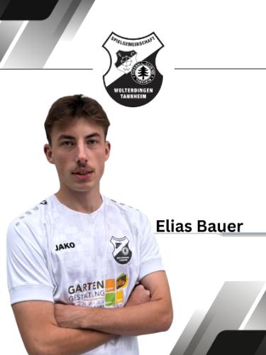 Elias Bauer