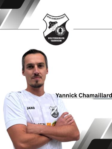 Yannick Chamaillard