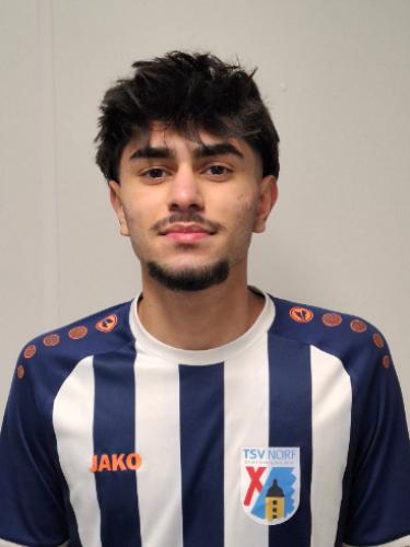 Sandro Alijogic