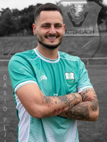 Dario Pejic